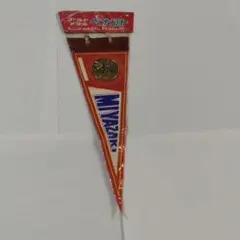 Item thumbnail for item dbc59f1b-b4e7-4647-a5e6-0e285e688f4b