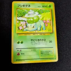 フシギダネ 旧裏 ポケモンカード