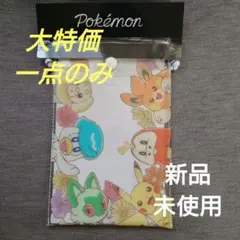 【早いもの勝ち】ポケモン A6サイズ クリアポーチ　スマホも入りそう