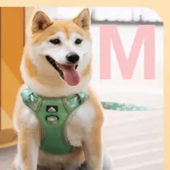 【M】負担軽減ハーネスかわいい花柄グリーンおしゃれコーギー柴犬フレブル中型犬のサムネイル