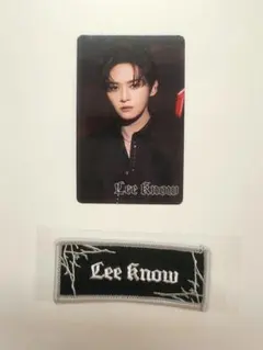 スキズ World Tour dominATE アプグレ♪ リノ