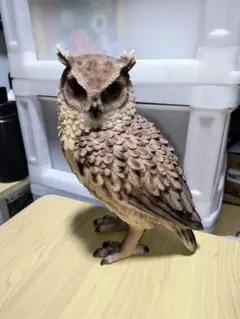 PET BANK　ペットバンク　ミミズク(トラフズク) 　フクロウ　貯金箱
