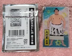 大相撲アクリルトレカ　大の里
