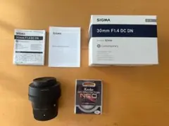 Item thumbnail for item 099a3ab3-70e7-472e-8036-44af57495f6c