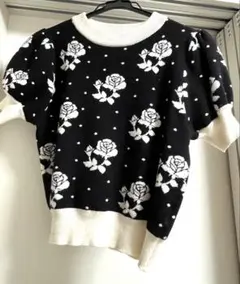 Item thumbnail for item 2ae952b5-a20f-4f13-82d1-78b5a1fdcaf4