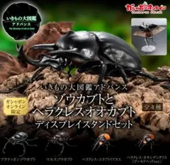 いきもの大図鑑 アドバンス