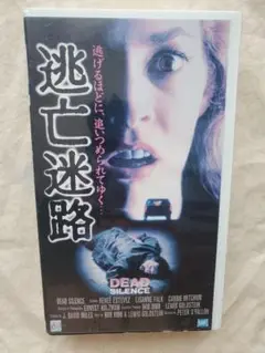 【未DVD化・激レア】逃亡迷路　VHS