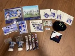 プロ野球　東京ヤクルトスワローズグッズ　まとめ売り