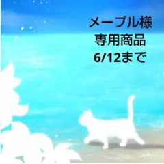 メープル様★専用商品★