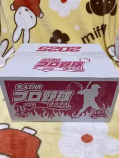 【新品、未開封】大人買いプロ野球チップス 2025 第1弾
