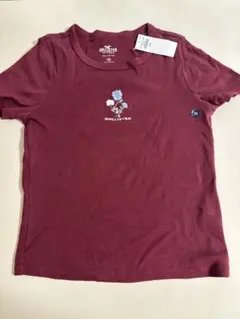 Hollister 花柄刺繍 Tシャツ バーガンディ XS
