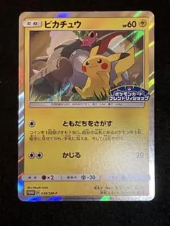 ピカチュウ：フレンドリィショップキャンペーン PROMO SM-P