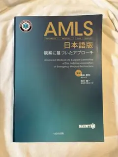 AMLS 日本語版 観察に基づいたアプローチ