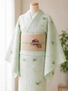 夏着物 絽 訪問着 正絹 極美品 夏物 涼しげ 盛夏 単衣 露芝 秋草
