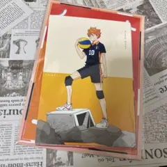 ハイキュー ハイキュー展 ポストカード セット 8枚