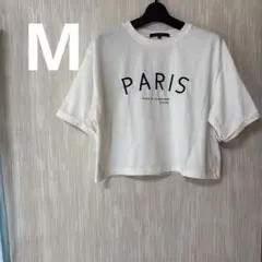 AQUAHISTORY PARIS クロップドTシャツ 【M】　ショート丈　白