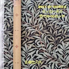 Item thumbnail for item 2e57a409-354a-4f6b-9a0a-5e5237ff7833