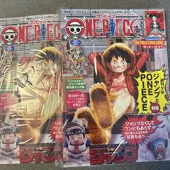新品未使用　ワンピースマガジン20号　2冊　プロモ付き