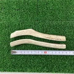 中型犬用(歯にやさしい1/4カット、2本セット)蝦夷鹿の角約15㎝ 噛むおもちゃのサムネイル