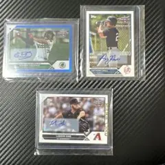 Item thumbnail for item df3518b7-0de4-4d2c-912e-52d0628461d3