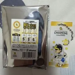 松本裕樹　ソフトバンクホークス　優勝記念シークレット　キーチェーン　キーホルダー