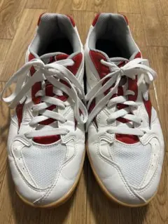 MIZUNO ミズノ　卓球シューズ　クロスマッチプリオ　RX4