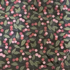 Item thumbnail for item a6894948-7cfa-48ed-bf60-11df07fe6728