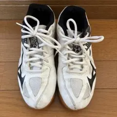 Mizuno バレーボールシューズ ホワイト/ブラック