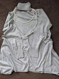 タートルネックセーター ニット