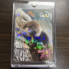 2026年最新】鳥羽水族館70周年の人気アイテム - メルカリ