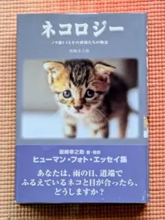 2026年最新】坂崎幸之助 本の人気アイテム - メルカリ