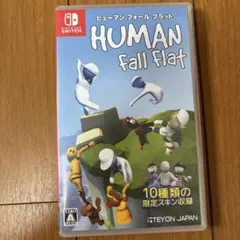 ヒューマンフォールフラットカセット