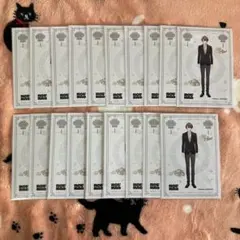 にじさんじ ろふまお ブロマイド 加賀美ハヤト 19枚セット