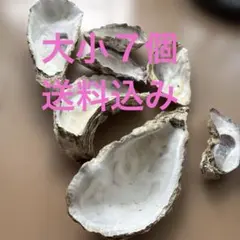 Item thumbnail for item f1df76c6-06d4-431b-860f-8be2f4f3093f