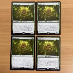 魂を紡ぐもの　4枚セット
