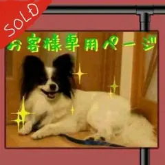 しぃˊᵕˋ⑅︎様♡専用確認ページ