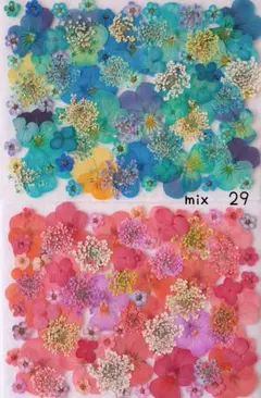 マロンとチェリー様 リクエスト 3点 まとめ商品