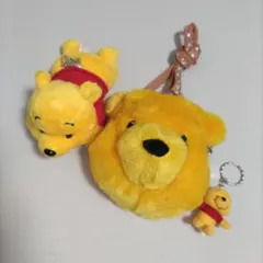 【美品】東京ディズニーリゾート　プーさん　まとめ　セット　肩のせ　パスケース