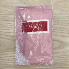 CHARLE HD061 ホワイトソックス 22~24cm