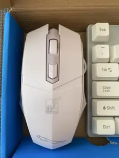 Item thumbnail for item 5c7bcd1a-c7e2-4b8f-9f7c-766bbcfaa3de