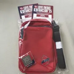 Item thumbnail for item 61069d12-9e26-49dd-856a-400173541e58