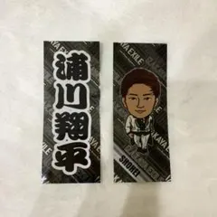 居酒屋えぐざいる 浦川翔平 千社札　値下げ中