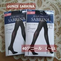GUNZE SABRINA 40デニールL〜 LLサイズ 2足セット