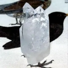 高品質 貫入 ゼッカレムリアンシードクリスタル レムリア水晶 クォーツのサムネイル