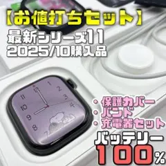 【2025/10購入】BT100％ S11 46mm 保護カバー＋バンド＋充電器