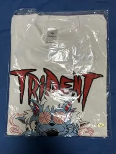 Item thumbnail for item 41b67d3a-a7ec-44e8-8bff-f1fd6c6876ee