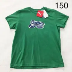 新品未使用タグ付き　プーマ 半袖Tシャツ ロゴプリント グリーン 150cmのサムネイル