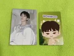 SEVENTEEN ウォヌ HBD アコーディオンカード パズチ