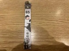 Item thumbnail for item 9bf0eceb-1ca5-41f7-8220-1619eafa159f