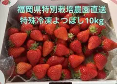 特別栽培農園直送特殊冷凍あまおう10kg 福岡県特別栽培農園直送特殊冷凍あまおう10kg - メルカリ